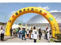 【沖縄県宜野座村】阪神タイガース春季キャンプにあわせ「GINOZA SPRING CAMP」開催中