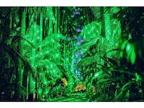 【沖縄県沖縄市】東南植物楽園が優秀SDGs賞1位を受賞したイルミネーション「南国ECOライツ」開催中