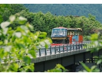 【岐阜県高山市】オープンバスで大自然を体感！「おくひだマウンテンバス」新緑シーズンに運行決定