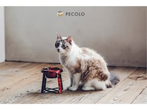 【東京都港区】ペット×日本の伝統工芸「PECOLO」から「PPP 輪島漆塗りフードスタンド」が登場