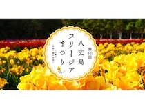【東京都八丈島】春恒例の「八丈島フリージアまつり」記念すべき第60回目が3月より開催決定