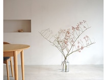 宮内庁御用達の「青山花茂本店」本物の花体験ができる「季節の枝もの定期便」を開始