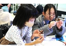 【東京都品川区】サンゴについて学ぶイベントをフォーカスシステムズが開催！小学生が対象