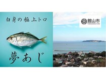 養殖魚「夢あじ」が千葉県館山市のふるさと納税に登場！白身のトロを想起させる味わい