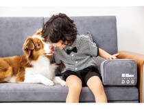 【東京都港区】愛犬と同じ目線で眠れるソファベッド「SWANEL-DOG」が品川で体験展示を開始