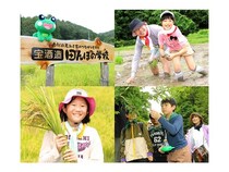 【京都府南丹市】「宝酒造『田んぼの学校』2026」の参加者を募集中！親子で田植えや収穫を体験
