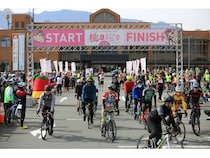 山梨県中央市をスタート・ゴールとするサイクルイベント「桃と桜のサイクリング2026～リニアライドやまなし中央～」開催！お花見も楽しめる