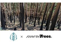 林業ベンチャーの青葉組とmore treesが、大船渡市の大規模林野火災跡地再生に向け連携