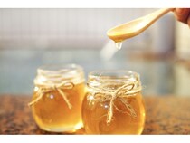 【埼玉県熊谷市】「おふろcafe ハレニワの湯」で花粉症対策企画！はちみつ風呂とミントロウリュが登場