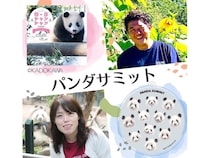 “上野パンダ愛”を語り合う「パンダサミット」オンライン開催！写真・エピソードも募集