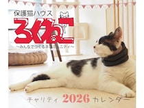 【千葉県松戸市】「保護猫ハウス ろくねこ」開設1周年記念セミナー開催！チャリティーカレンダー販売も