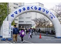 【東京都江東区】「ヤマタネさくらまつり2026」開催！お花見×企業見学のユニーク体験