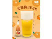 PERFECT BEERがビアカクテル「完熟梅BEER」を発売！ビールが少し苦手な人にもおすすめ