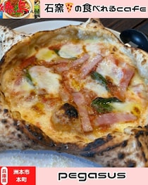 【淡路島洲本市】ペガサス