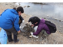 地域の豊かな水資源を守る「秋川クリーンアップ2026」開催！参加者募集中