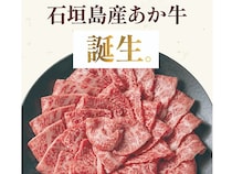 牧草を食べ、通年放牧で育てた石垣島ならではの「あか牛」の牛肉、数量限定で販売