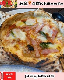 【淡路島洲本市】ペガサス