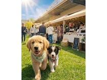 【大阪府岸和田市】愛犬と楽しむ「わたしのワンコマルシェ」開催！犬種別オフ会やファッションショーも