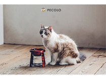 【東京都港区】ペット×日本の伝統工芸「PECOLO」から「PPP 輪島漆塗りフードスタンド」が登場