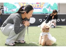 【神奈川県横浜市】愛犬が主人公の冒険！体験ストーリー型ドッグイベント「うちの子クエスト」を開催