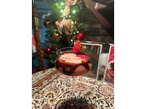 【東京都台東区】一年中クリスマス気分を楽しめるDining&bar Treeにバレンタイン特別メニュー登場！