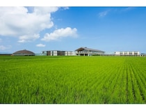 【山形県鶴岡市】米作りを通して庄内の食の循環を体験する田んぼとお米のプロジェクト、参加者募集開始