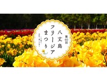 【東京都八丈島】春恒例の「八丈島フリージアまつり」記念すべき第60回目が3月より開催決定