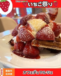 【徳島県徳島市】春のいちご祭り🍓　カフェ デュ マルシェ
