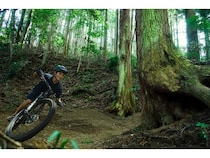 【神奈川県小田原市】フォレストアドベンチャー・小田原＆フォレストバイク・小田原に、新体験ゾーン登場！