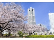 【神奈川県横浜市】美しい花と緑を堪能する春の一大イベント「ガーデンネックレス横浜2026」開幕！