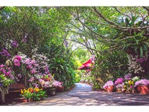 【沖縄県うるま市】自然体験型施設「ビオスの丘」で「らんの花祭り うりずん ～うりずんの花道～」開催！