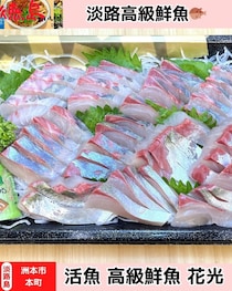 【淡路島洲本市】活魚 高級鮮魚 花光