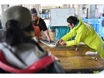 高知県土佐清水市で「神経締めの究極鮮度」による漁村再生×観光振興プロジェクト始動