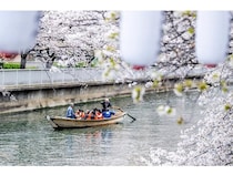 【東京都江東区】江戸情緒を満喫できる水上花見や夜桜が楽しめる「お江戸深川さくらまつり」開催！