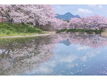 奈良県宇陀市「認知症の不安ゼロのまち」宣言！AI×包括連携で地域医療の未来を築く