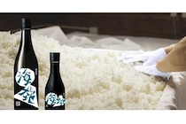 【神奈川県小田原市】純米原酒「海と大地」発売！鈴廣特製の魚肥で育てた小田原産キヌヒカリを100％使用