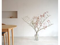 宮内庁御用達の「青山花茂本店」本物の花体験ができる「季節の枝もの定期便」を開始