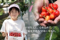全体の1％！希少な「温室そだちさくらんぼ」とは