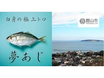 養殖魚「夢あじ」が千葉県館山市のふるさと納税に登場！白身のトロを想起させる味わい