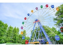 【埼玉県加須市】遊園地×花見×打ち上げ花火が楽しめる、むさしの村「夜桜打ち上げ花火大会」開催！