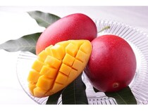 4月販売解禁の「太陽のタマゴ」など、食材の宝庫・宮崎県が生み出す春の食材を紹介！
