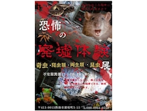 【静岡県熱海市】古民家で懐中電灯片手に夜行性生物の生態に迫る「廃墟動物園」開催！ふれあい動物園も