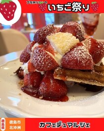 【徳島県徳島市】春のいちご祭り🍓　カフェ デュ マルシェ
