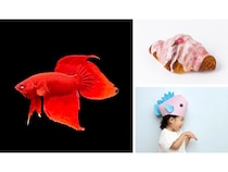 【北海道札幌市】「AOAO SAPPORO」新⽣活を迎える⼈に“花咲く”をテーマにキャンペーン開催中