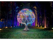 【千葉県千葉市】稲毛海浜公園「BOTANICA MUSEUM」がフルオープン！夜間ライトアップも