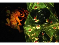 【埼玉県さいたま市】さいたまスーパーアリーナで「アートアクアリウム展」開催！初展示の作品も登場