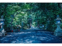 【奈良県天理市】奈良の古道「山の辺の道」に音声ガイド登場。祈りの風景をたどる体験へ
