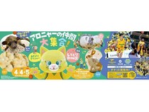 【香川県高松市】香川ファイブアローズが、ホームゲームでしろとり動物園の「出張動物園」を開催！