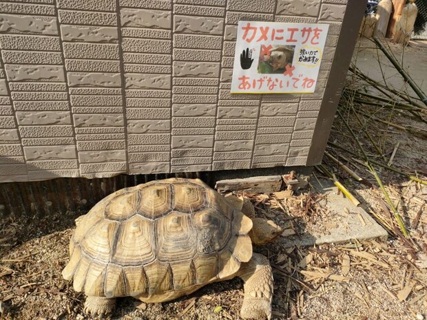 トリアス久山 ふれあい動物園
