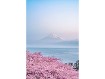 【東京都台東区】「ホテルリソル上野」内のアートギャラリーでPhotographer Sho氏の作品を期間限定展示